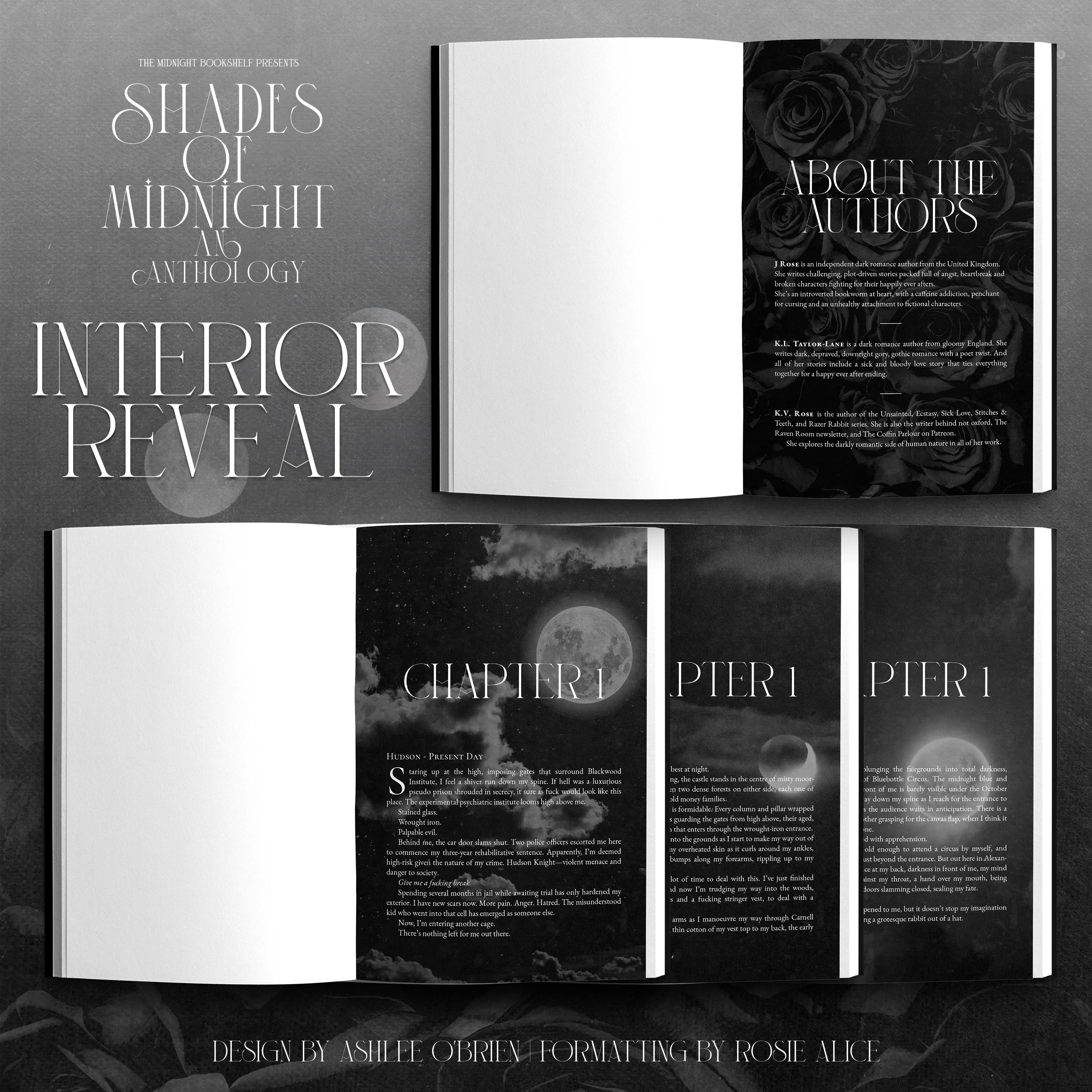 Shades of Midnight Anthology - Image 3